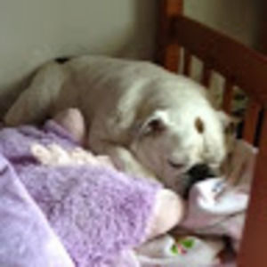 Meet your Posher, Joanne